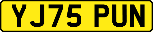 YJ75PUN