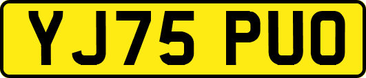 YJ75PUO