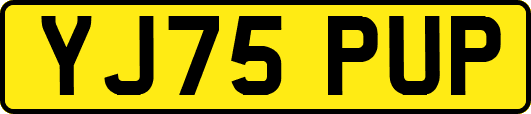 YJ75PUP