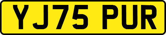 YJ75PUR