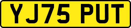 YJ75PUT
