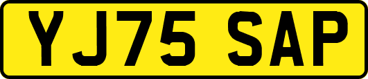 YJ75SAP