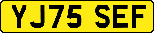 YJ75SEF