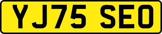YJ75SEO