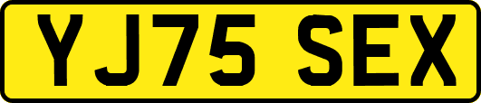 YJ75SEX