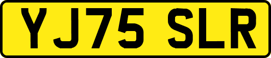 YJ75SLR