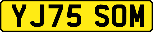 YJ75SOM