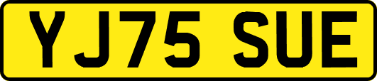 YJ75SUE