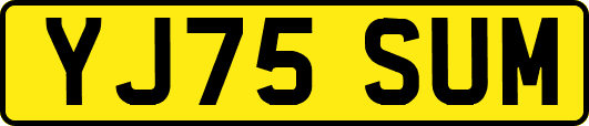 YJ75SUM
