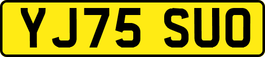 YJ75SUO