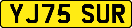 YJ75SUR