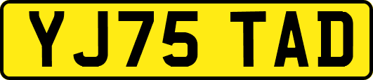 YJ75TAD