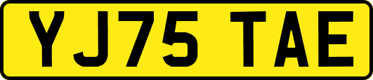 YJ75TAE