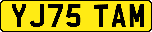 YJ75TAM