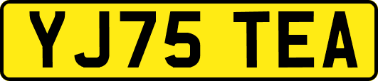 YJ75TEA