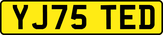 YJ75TED