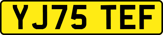 YJ75TEF