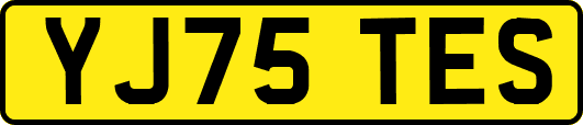 YJ75TES