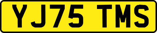 YJ75TMS