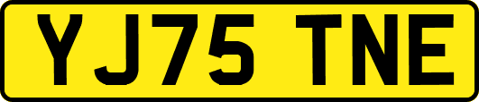 YJ75TNE