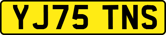 YJ75TNS