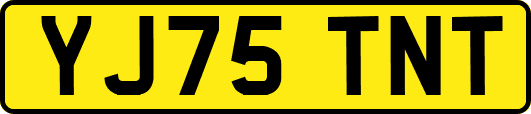 YJ75TNT