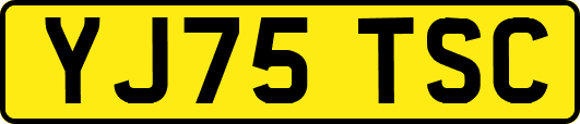 YJ75TSC