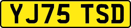YJ75TSD