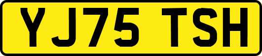 YJ75TSH