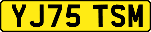 YJ75TSM