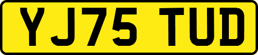 YJ75TUD