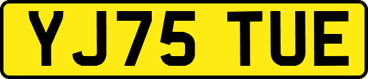YJ75TUE
