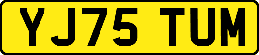 YJ75TUM