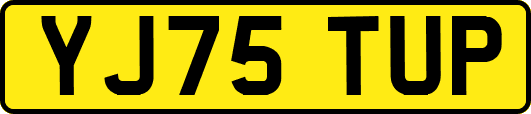 YJ75TUP
