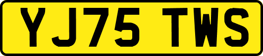 YJ75TWS