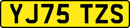 YJ75TZS