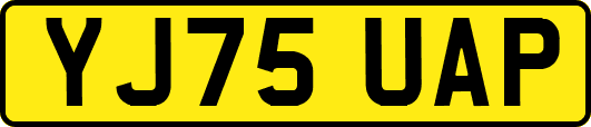 YJ75UAP
