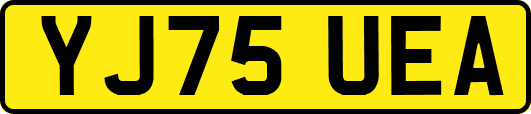 YJ75UEA