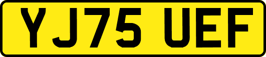 YJ75UEF