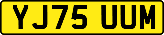 YJ75UUM