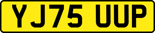 YJ75UUP