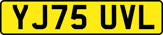 YJ75UVL