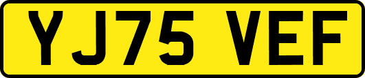 YJ75VEF
