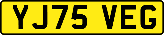 YJ75VEG