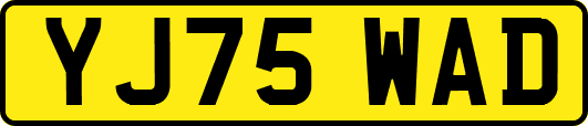 YJ75WAD