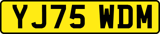 YJ75WDM