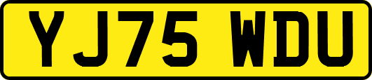 YJ75WDU