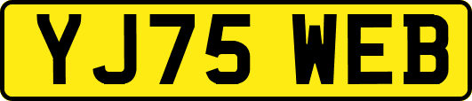 YJ75WEB