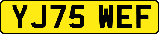 YJ75WEF