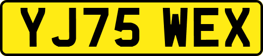 YJ75WEX